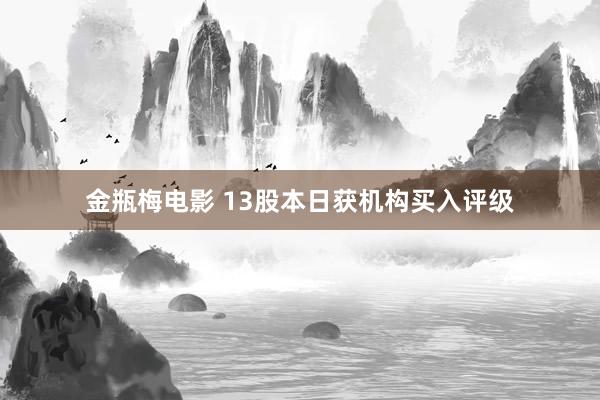 金瓶梅电影 13股本日获机构买入评级