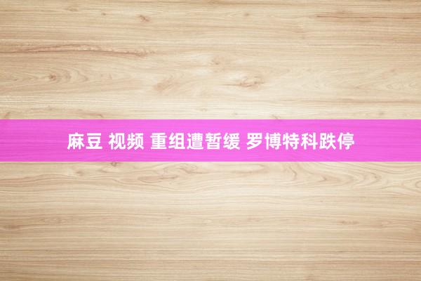 麻豆 视频 重组遭暂缓 罗博特科跌停