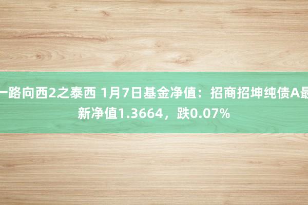 一路向西2之泰西 1月7日基金净值：招商招坤纯债A最新净值1.3664，跌0.07%