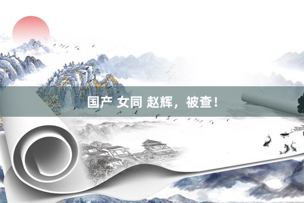 国产 女同 赵辉，被查！