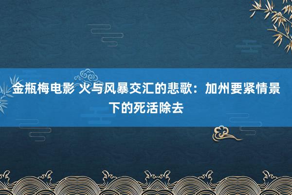 金瓶梅电影 火与风暴交汇的悲歌：加州要紧情景下的死活除去