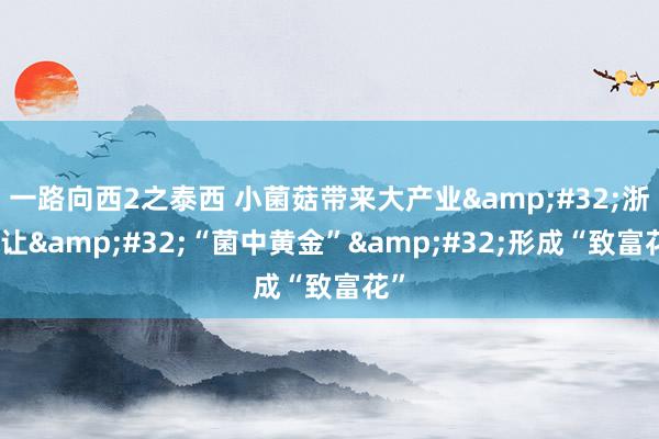 一路向西2之泰西 小菌菇带来大产业&#32;浙江让&#32;“菌中黄金”&#32;形成“致富花”