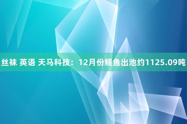 丝袜 英语 天马科技：12月份鳗鱼出池约1125.09吨