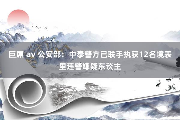 巨屌 av 公安部：中泰警方已联手执获12名境表里违警嫌疑东谈主
