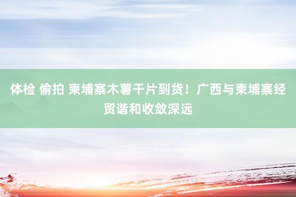 体检 偷拍 柬埔寨木薯干片到货！广西与柬埔寨经贸谐和收敛深远