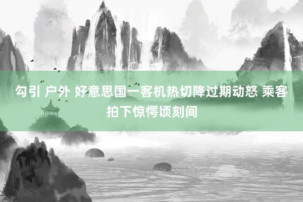 勾引 户外 好意思国一客机热切降过期动怒 乘客拍下惊愕顷刻间