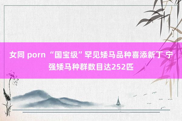 女同 porn “国宝级”罕见矮马品种喜添新丁 宁强矮马种群数目达252匹