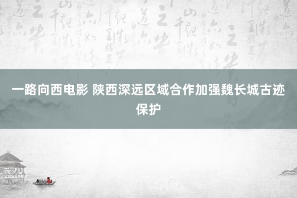 一路向西电影 陕西深远区域合作加强魏长城古迹保护