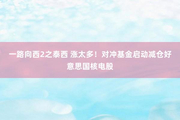 一路向西2之泰西 涨太多！对冲基金启动减仓好意思国核电股