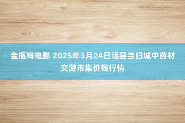 金瓶梅电影 2025年3月24日岷县当归城中药材交游市集价钱行情