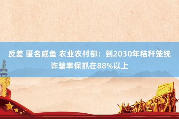 反差 匿名咸鱼 农业农村部：到2030年秸秆笼统诈骗率保抓在88%以上