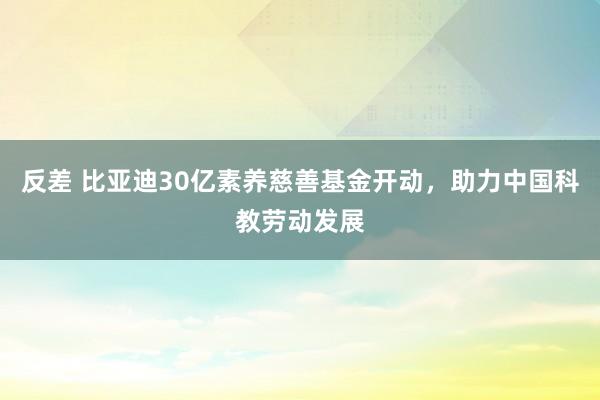 反差 比亚迪30亿素养慈善基金开动，助力中国科教劳动发展