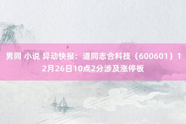 男同 小说 异动快报：道同志合科技（600601）12月26日10点2分涉及涨停板