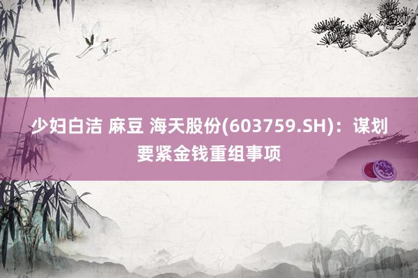 少妇白洁 麻豆 海天股份(603759.SH)：谋划要紧金钱重组事项