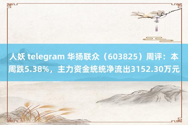 人妖 telegram 华扬联众（603825）周评：本周跌5.38%，主力资金统统净流出3152.30万元
