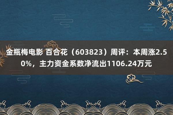 金瓶梅电影 百合花（603823）周评：本周涨2.50%，主力资金系数净流出1106.24万元