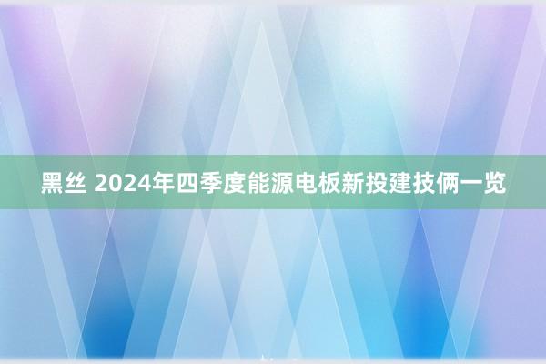黑丝 2024年四季度能源电板新投建技俩一览