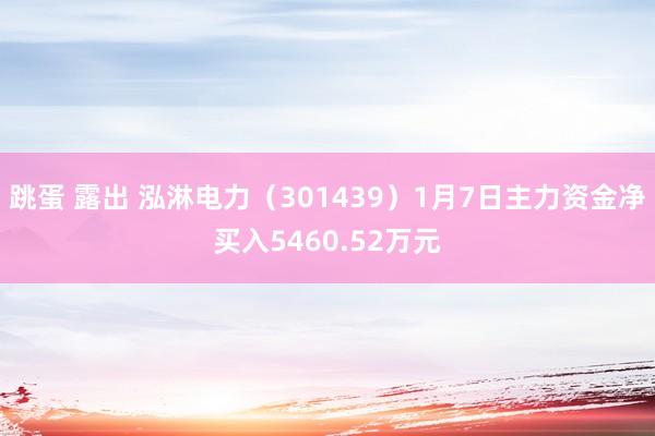 跳蛋 露出 泓淋电力（301439）1月7日主力资金净买入5460.52万元