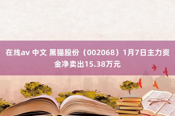 在线av 中文 黑猫股份（002068）1月7日主力资金净卖出15.38万元