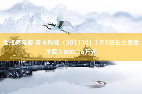 金瓶梅电影 青木科技（301110）1月7日主力资金净买入800.96万元