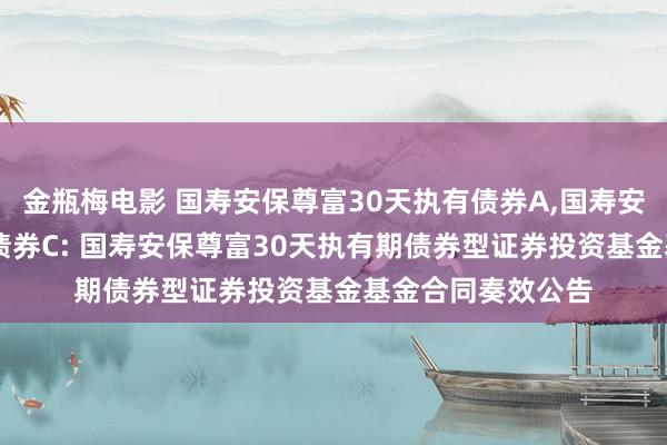 金瓶梅电影 国寿安保尊富30天执有债券A，国寿安保尊富30天执有债券C: 国寿安保尊富30天执有期债券型证券投资基金基金合同奏效公告