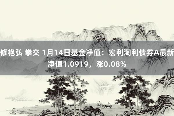 修艳弘 拳交 1月14日基金净值：宏利淘利债券A最新净值1.0919，涨0.08%