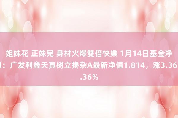 姐妹花 正妹兒 身材火爆雙倍快樂 1月14日基金净值：广发利鑫天真树立搀杂A最新净值1.814，涨3.36%