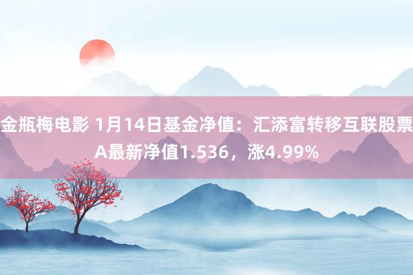 金瓶梅电影 1月14日基金净值：汇添富转移互联股票A最新净值1.536，涨4.99%