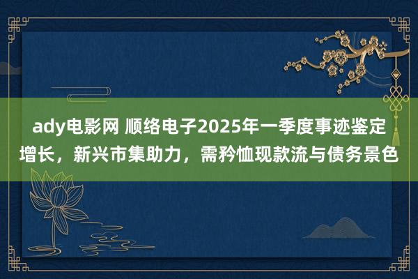 ady电影网 顺络电子2025年一季度事迹鉴定增长，新兴市集助力，需矜恤现款流与债务景色