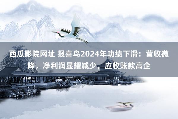 西瓜影院网址 报喜鸟2024年功绩下滑：营收微降，净利润显耀减少，应收账款高企
