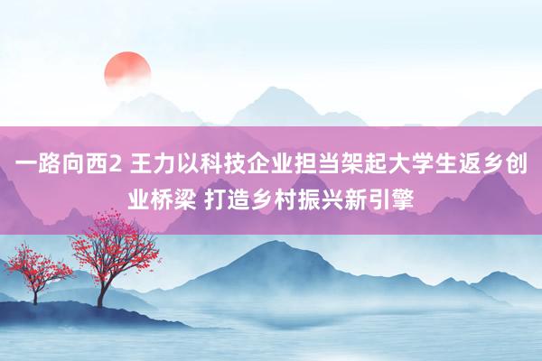 一路向西2 王力以科技企业担当架起大学生返乡创业桥梁 打造乡村振兴新引擎
