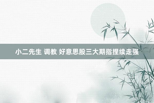 小二先生 调教 好意思股三大期指捏续走强