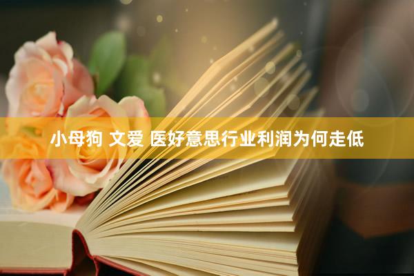 小母狗 文爱 医好意思行业利润为何走低