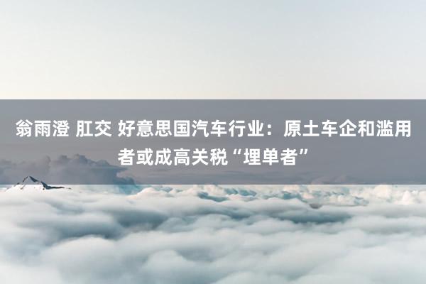翁雨澄 肛交 好意思国汽车行业：原土车企和滥用者或成高关税“埋单者”