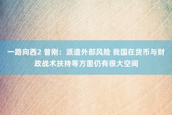 一路向西2 曾刚：派遣外部风险 我国在货币与财政战术扶持等方面仍有很大空间