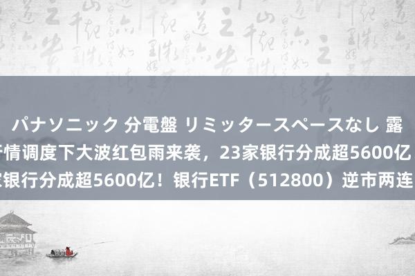 パナソニック 分電盤 リミッタースペースなし 露出・半埋込両用形 行情调度下大波红包雨来袭，23家银行分成超5600亿！银行ETF（512800）逆市两连阳