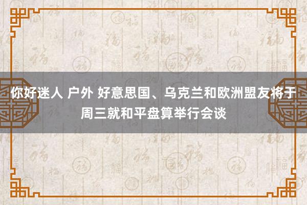 你好迷人 户外 好意思国、乌克兰和欧洲盟友将于周三就和平盘算举行会谈