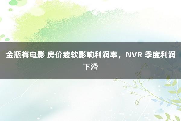 金瓶梅电影 房价疲软影响利润率，NVR 季度利润下滑