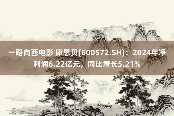 一路向西电影 康恩贝(600572.SH)：2024年净利润6.22亿元，同比增长5.21%