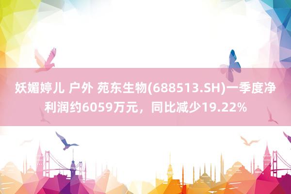 妖媚婷儿 户外 苑东生物(688513.SH)一季度净利润约6059万元，同比减少19.22%