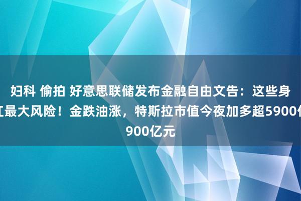 妇科 偷拍 好意思联储发布金融自由文告：这些身分红最大风险！金跌油涨，特斯拉市值今夜加多超5900亿元